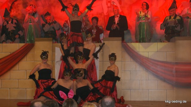 2013.01.26  Unser Kappenball 2013